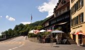 Percorso A piedi Aarburg - Sälischlössli - Aarburg - Photo 4