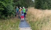 Tocht Stappen Tenneville - Mochamps - Photo 4