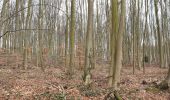 Trail Walking Tervuren - 2020-03-15 - Tervuren - Étangs de Vossem - Photo 11