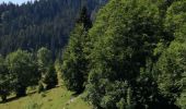 Trail Walking La Pesse - CRETS CHALAM, AU MERLE et NERBIER - Photo 1