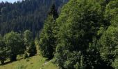 Excursión Senderismo La Pesse - CRETS CHALAM, AU MERLE et NERBIER - Photo 1