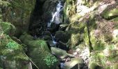 Tocht Stappen Stosswihr - Chemin des cascades - Photo 2