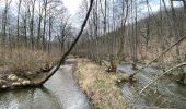 Randonnée Marche Couvin - Presgaux - Photo 2