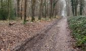 Tour Wandern Valorbiquet - Aux alentours de St Cyr du Ronceray  - Photo 12