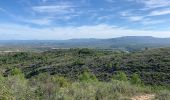 Tour Wandern Miravet - Miravet alentours et Château  - Photo 18