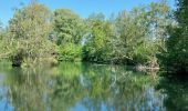 Trail Walking Arques-la-Bataille - Arque la Bataille - Photo 6