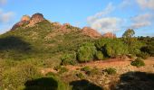 Trail Walking Roquebrune-sur-Argens - Roquebrune - Les Campons - Photo 7