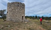 Excursión Senderismo Sault - Monieux le Vallat du Loup - Photo 10