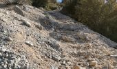 Excursión Senderismo Puyloubier - Puyloubier - Hermitage de St. Ser- Col de Vauvenarguse - Pic des mouches - Puyloubier - Photo 4