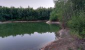 Tocht Stappen Libin - Sentier des Nutons - Smuid - Parc enchanté du Kaolin - Photo 10