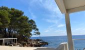 Tocht Stappen Saint-Cyr-sur-Mer - Port d’Alon - Bandol - Photo 1