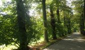 Randonnée A pied Calmpthout - Wandelpad Duin - Photo 1