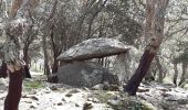 Tour Wandern Maureillas-las-Illas - dolmen de la Siureda via tour Bel Ull - Photo 10