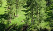 Tocht Stappen Selva di Cadore - Pian Di Possoliva - Photo 14