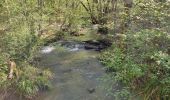 Randonnée Marche Peyrignac - boucle de la nuelle  - Photo 5