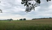 Tocht Stappen Graven - Randonnée autour de Grez-Doiceau - Photo 8