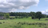 Trail Walking Theux - autour du Maquisart - Photo 13