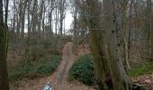 Trail Walking Charleroi - mont sur marchienne dans les bois - Photo 11