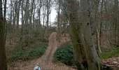 Trail Walking Charleroi - mont sur marchienne dans les bois - Photo 11