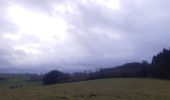 Tour Wandern Comblain-au-Pont - comblain . ferme de raideux . mont . bois de monty . mont . roches noires . comblain   - Photo 4