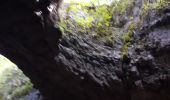 Trail Walking Saint-Martin-en-Vercors - grotte de la cheminée  - Photo 2