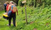 Trail Walking Écouves - OT les Haras de Radon à Damigny - Photo 19
