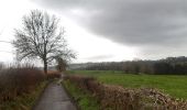 Trail Walking Olne - olne . grand vaux . bois d olne . basse bouheye . olne - Photo 9