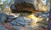 Randonnée Marche Fontainebleau - Fontainebleau sentier Denecourt 3 - Photo 4