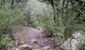 Excursión Senderismo Conqueyrac - Les jumelles de Monoblet  - Photo 5