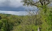 Randonnée Marche Modave - Promenade du rocher de vieux château  - Photo 2