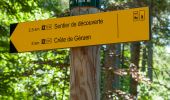 Tocht Stappen Le Castellard-Mélan - Sentier de découverte du Col de Fontbelle - Photo 1