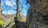 Trail Walking Bertrix - rando auby sur semois 14-03-2024 - Photo 15