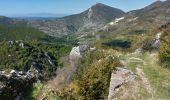 Trail Walking Senez - le poil - Photo 9