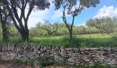 Tour Wandern Saint-Bonnet-du-Gard - mon 8 du pont du Gard  - Photo 10