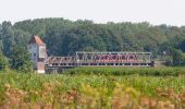 Percorso A piedi Ulsnis - Erholungsort Ulsnis: Rundweg Dallacker, Gunneby - Photo 10