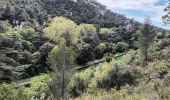 Tour Wandern Gémenos - St Pons-Gémenos-26-04-2023 - Photo 17