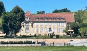 Excursión Senderismo Saint-Nizier-sous-Charlieu - St-Nizier-sous-Charlieu : entre châteaux et collines - Photo 1