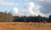 Tour Wandern Spa - petit tour entre les fagnes Malchamps et James - Photo 5