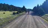 Tour Wandern Meranges - etp35. Gr11  - Photo 1