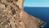 Tocht Stappen La Ciotat - la Ciotat parc Mugel - Photo 1