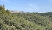 Excursión Senderismo Cheval-Blanc - PF-Cheval-Blanc - La Roquette - Le Trou du Rat - MDu - Photo 15