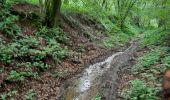 Tocht Paardrijden Walcourt - Mertenne/bois de la Baronne/Rognée - Photo 3