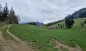 Tour Wandern Draillant - Col des moises et les oratoires  - Photo 4