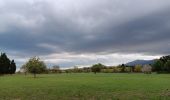 Tour Wandern Argelès-sur-Mer - réserve du mas Larrieu de part et d autre du Tech - Photo 4