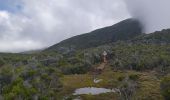 Tocht Stappen Salazie - Tour du Piton des Neiges par le petit GRR1 / J4 - Photo 6