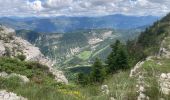 Excursión Marcha nórdica Rosans - Crêtes du raton à partir du col de Pommerol - Photo 1