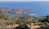 Tour Wandern Saint-Raphaël - ND d'Afrique et le palais bulle depuis la gare du Trayas - Photo 5