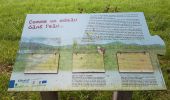 Percorso Marcia Sélestat - Sélestat le Grand Ried - balade dans la forêt de l'II - passerelles - Photo 3