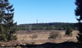 Randonnée Marche Manhay - plateau des tailles depuis Odeigne  - Photo 15