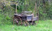 Randonnée Marche Le Thoronet - Source Pernod - Canal Ste croix - l'Argens - Peygros - Le village  - Photo 12